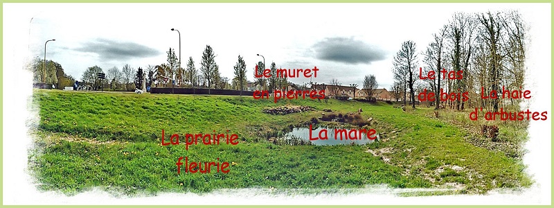 BIO-marePanoramique