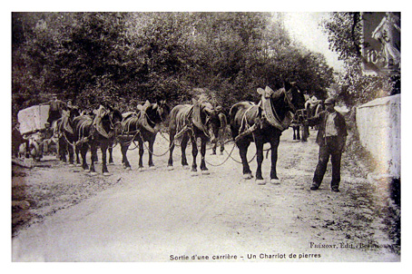 FO-IA-Chevaux-chariots-riv-karsique