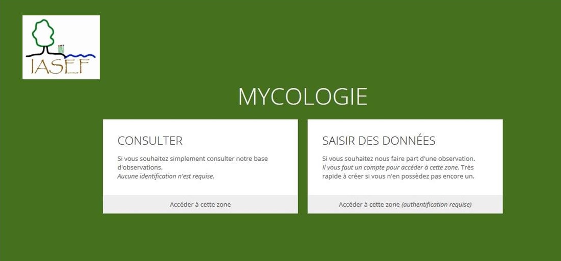 MY-2015-Site-myclogie-participative