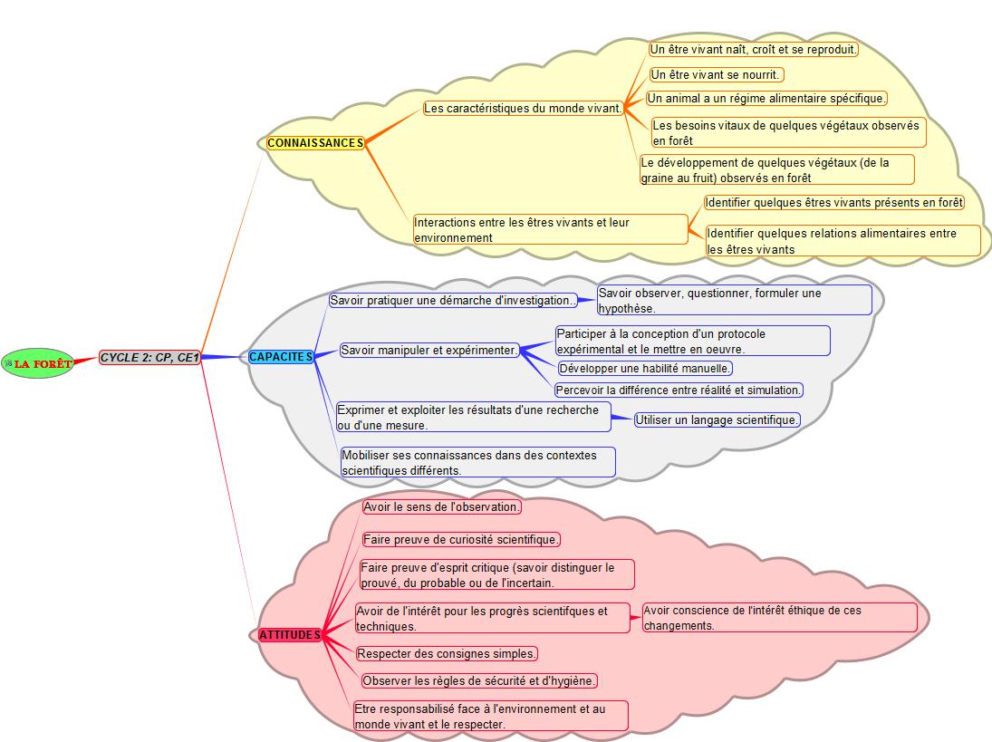 PED-FO-competences-cycle2