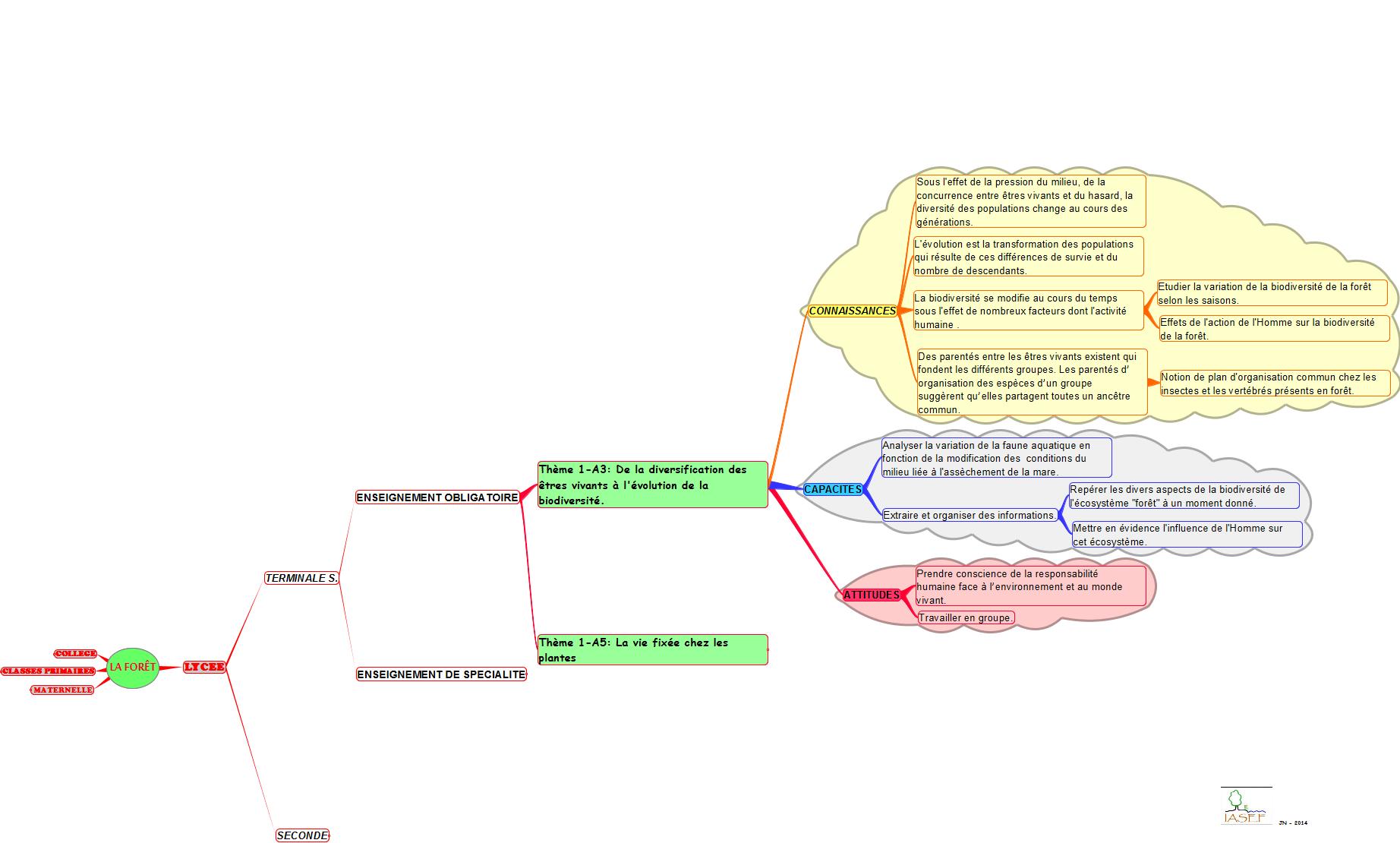 PED-FO-competences-diversification-TS