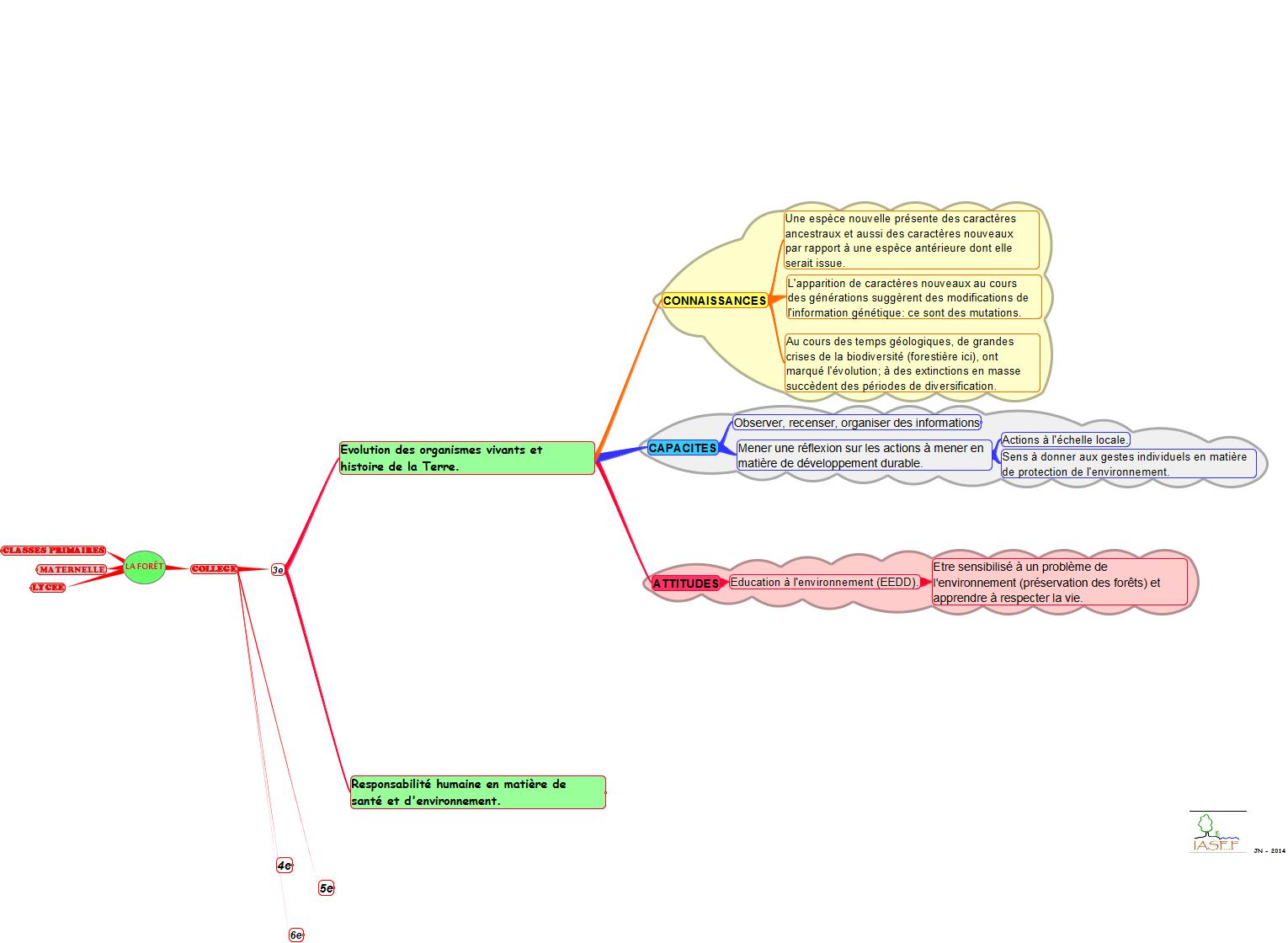 PED-FO-competences-evol-org-3