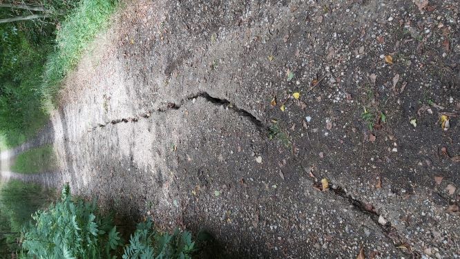 Crevasse en forêt de l'Isle-Adam