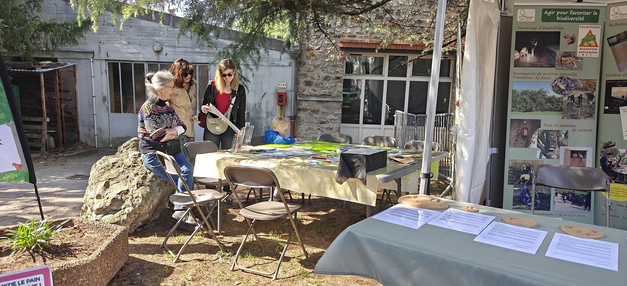 Jeux pour les enfants, présentation de IASEF...