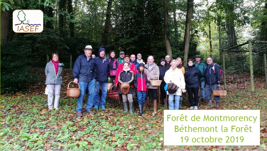 19 octobre 2019