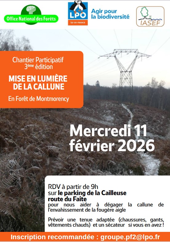 Chantier participatif Callune en foret de Montmorency