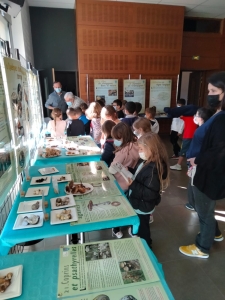 Visite de l'exposition par les scolaires