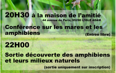 Fréquence grenouille 2020