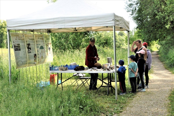 La Mycologie