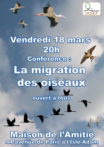 Migration des oiseaux