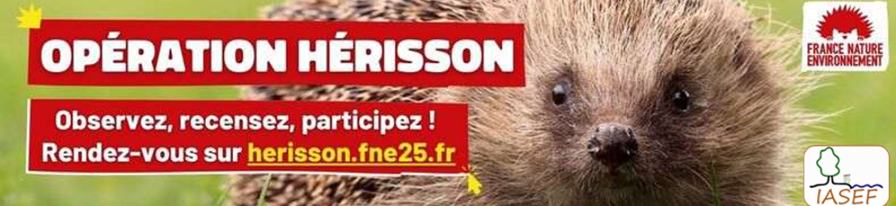Opération hérisson