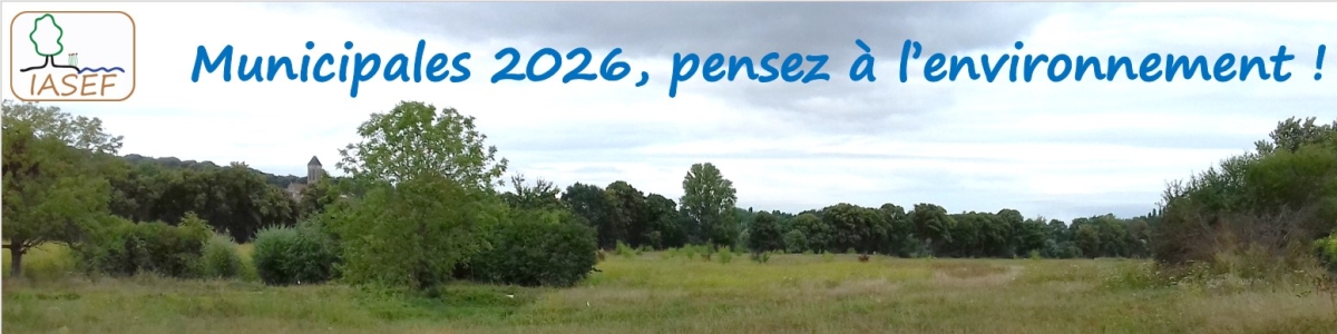 Propositions pour les municipales