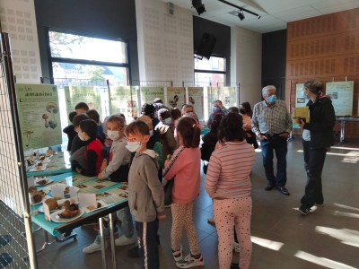 Visite de l'exposition par les scolaires