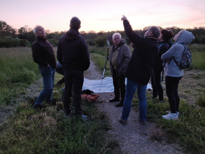 L'occasion d'observer aussi les étoiles....