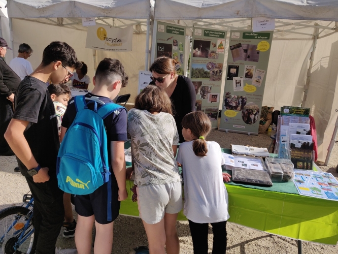 Les enfants intrigués par les insectes ...