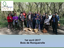 1er avril 2017