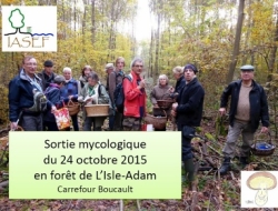 24 octobre 2015