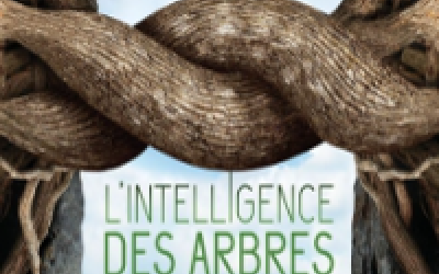 Soirée Débat : "L'Intelligence des Arbres"