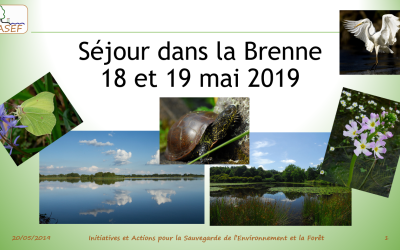 Séjour en Brenne