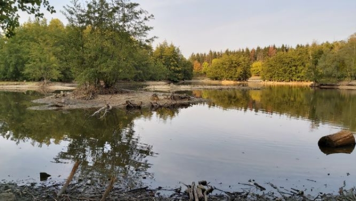 Etang des trois sources