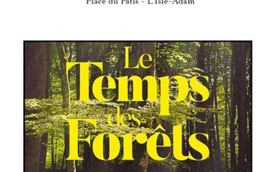 Le temps des forêts