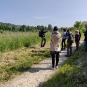 Retour sur la sortie botanique à La Rosière