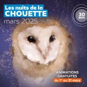 Retour sur la 16e nuit de la Chouette