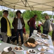 Retour sur la fête de la nature 2025