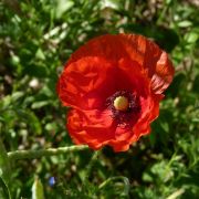 Programme photo macro 2026