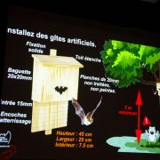 Retour sur la soirée Chauve-Souris du 26 août 2023 à Mériel