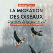 Retour sur la conférence sur la migration des oiseaux de Presles