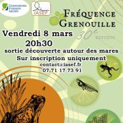 Sortie Fréquence grenouille 2024