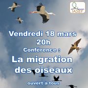 Conférence sur la migration des oiseaux