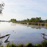 Retour sur la sortie aux marais de Sacy le Grand