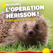 IASEF s’engage dans l'action de recensement des hérissons