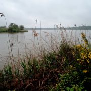 Séjour dans la Brenne