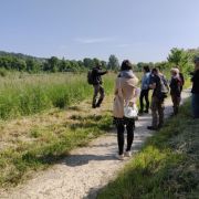 Retour sur la sortie botanique à La Rosière